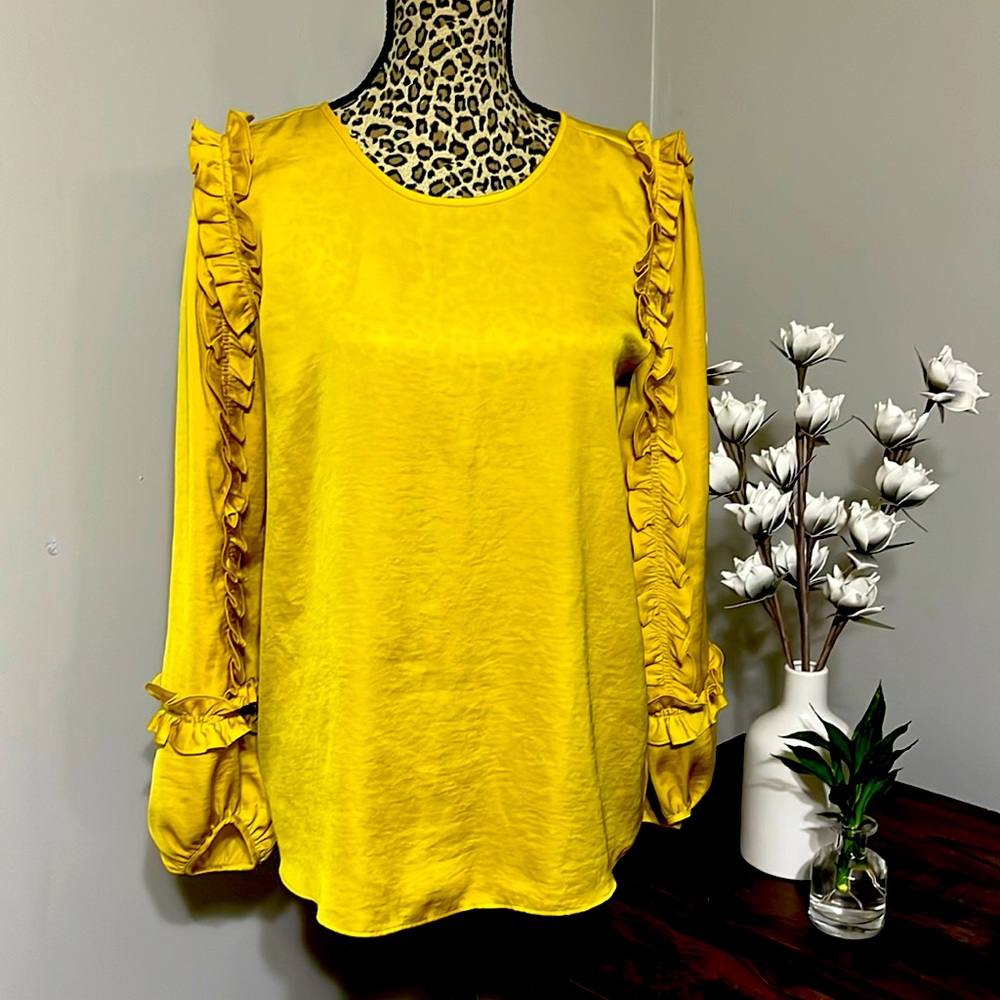 Ann Taylor Blouse